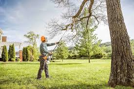 Best Lawn Pest Prevention  in Talpa, NM